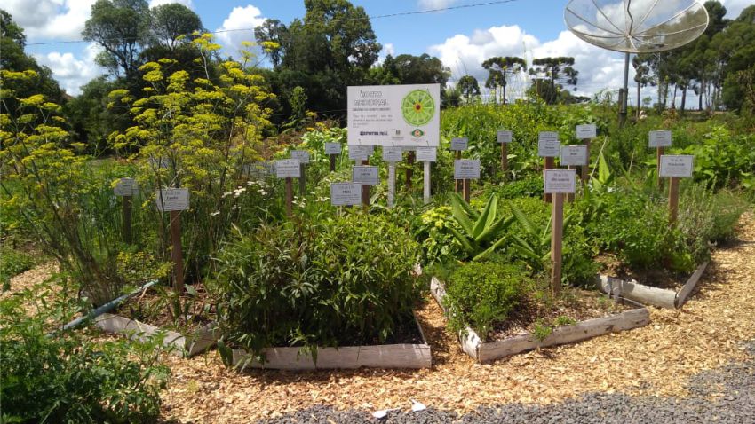 Agricultura Familiar de Base Agroecológica, Gênero e Resistência